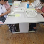 まんさく日記 (まんさく園)