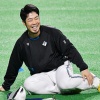 近藤健介「うまいぞ、食え」←くれそうなもの