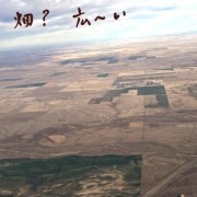 ���ܤ˲񤦡�3�˥ѥ˥å������å�