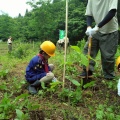 6月１日　オイスカ合同植樹活動　参加