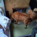 移動中