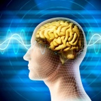 まとめたニュース