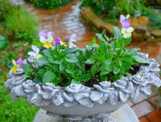 可愛い小花が引き立て役