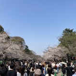 『2026年春の痛風の兆候が来たー vol.4342』の画像