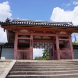 『仁和寺へ』の画像