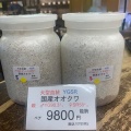 人気幼虫多数！