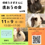 for the RABBIT【保護うさぎの里親探し】