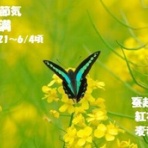 田舎記者の手帳