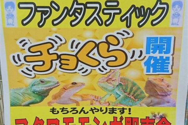 爬虫類倶楽部ファームブログ ホームアシスト