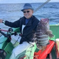 イワシの泳がせ　マハタ