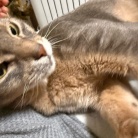 午前中をダラダラ過ごした日