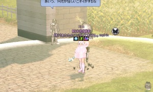 爆弾を警戒するイメンマハ近衛兵