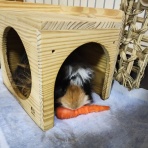 早乙女チャンネル２