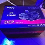 リ楽ックスして海水魚