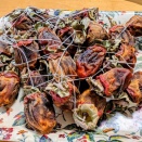 １回目干柿完成。