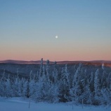 『まだ暗い時間に今年初散歩』の画像