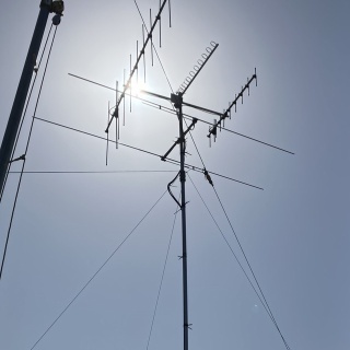 向島ポンポコ日記