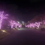 九州大学陸上競技部長距離パート