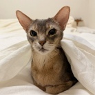 毎日、かわいいを見せつけてくるぼくちん♡