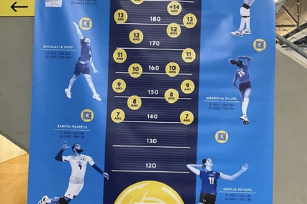 全日本女子バレーボールの今日 そして明日 パリオリンピック編 プレパリオリンピック大会 全日本女子バレーボールの今日 そして明日 パリオリンピック編 プレパリオリンピック大会