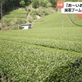 お～いお茶、172円→237円に値上げ…　世界的なブームで茶葉自体が不足