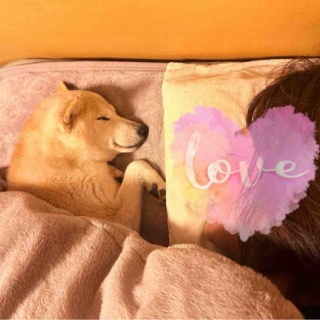 かぼすちゃんとおさんぽ。