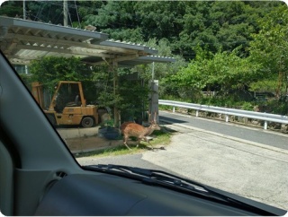 広島本部・7月27日