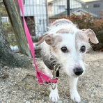 華・あず＆レン