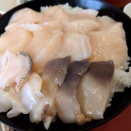 白老「元気広場」で海鮮丼