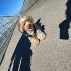 てつっちＬｏｇ　いつのまにかに２０年。。。