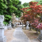 すう写真館