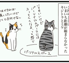 次のターゲット⑧【NNNにロックオンされています】
