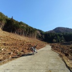 しっぽのトライアルあそび弐