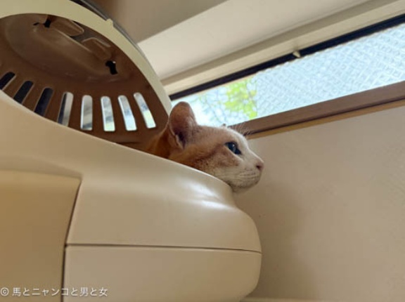 そんな時は