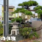 小牧つーしん