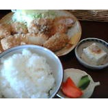 �ؿ��� �Ϥ������֥ߥå����ե饤��800�ߡ٤β���