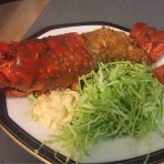 キャルダイビング－今日の日記