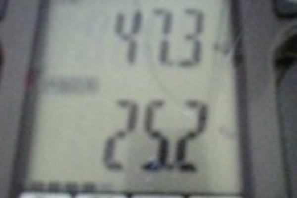 みほのブログ 体重