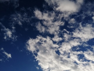 家賃の増額に仰天 ( ﾟДﾟ)