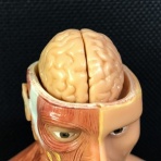 凹凸ちゃんねる　発達障害・生きにくい人のまとめ
