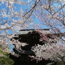 背中を追っていた60代ブロガーさんとのひととき