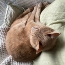 たまには油断して