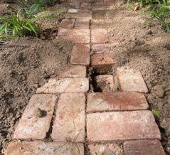 本当に腹が立つ