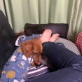 バテバテ。