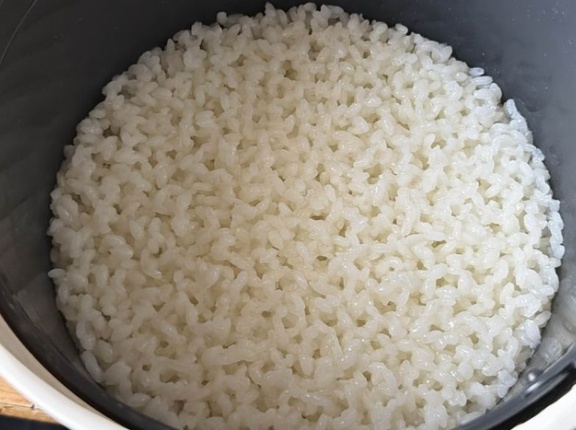 外国人「米を炊いたらAIみたいな質感になったんだが何故なんだ…？」