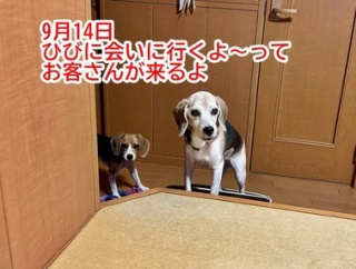お見舞いに来たブラボー女子