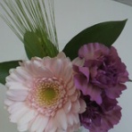 北京厚済薬局ぶろぐ