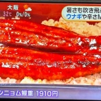 【画像】フジテレビ「ウナギにはこういう食べ方もあるんだ！」→大炎上…