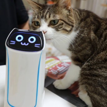 読ませぬ猫と配膳猫。