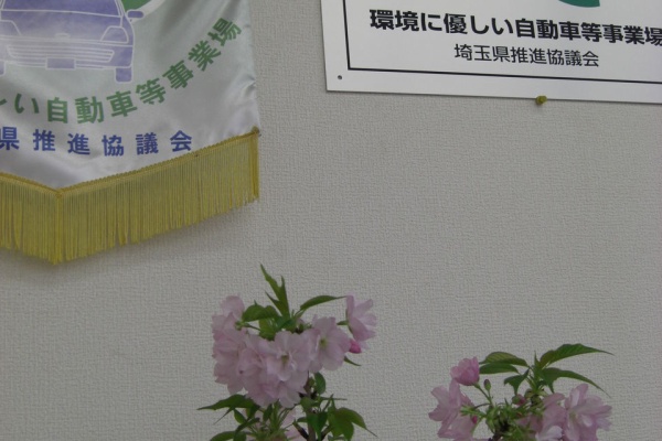 常陽自動車のブログ 埼玉県さいたま市 中古車販売